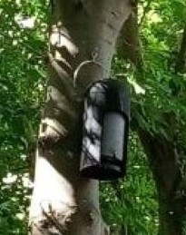 Bat Boxes