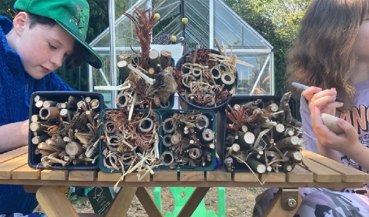 Bug Hotels 