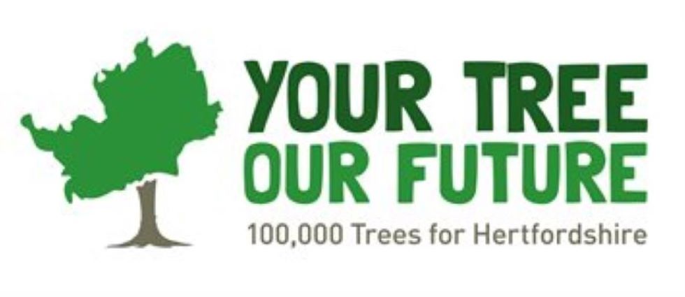 Your Tree, Our Future