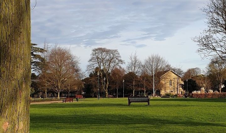 Council Services information page
